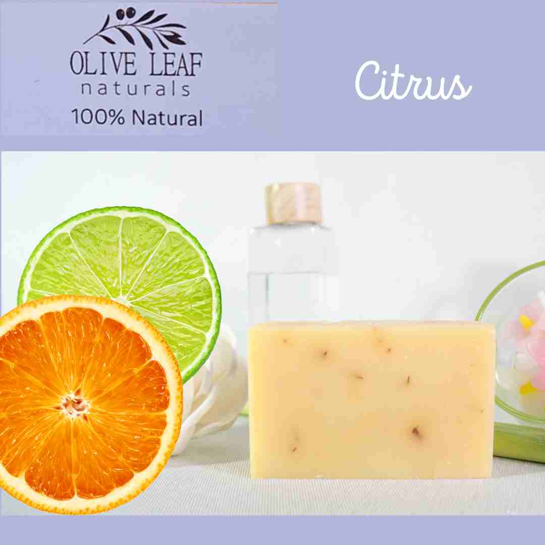 Ol Soap Bar 160G Citrus
