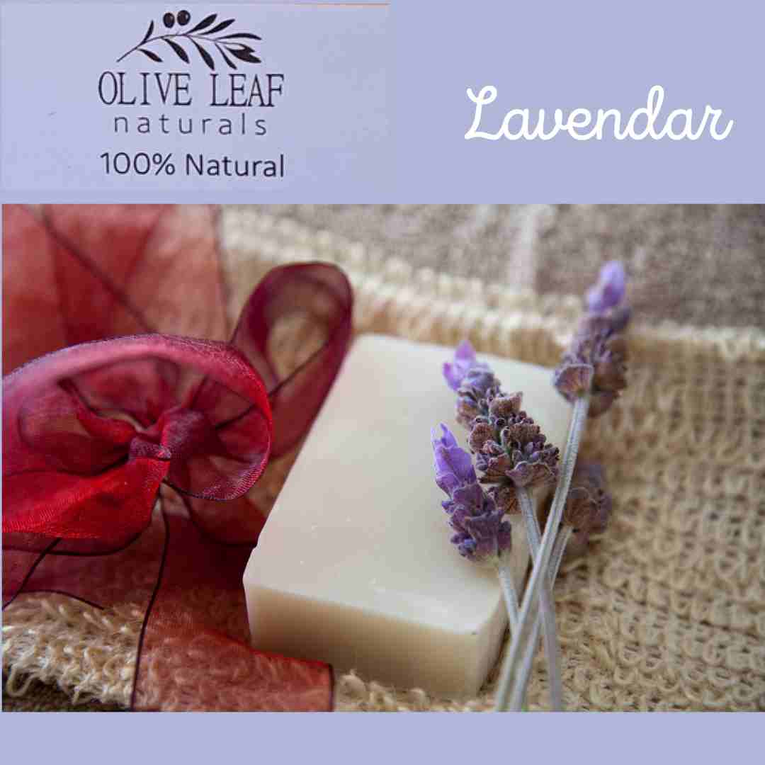 Ol Soap Bar 160G Lavendar