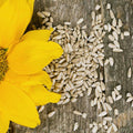 Sunflower Seeds