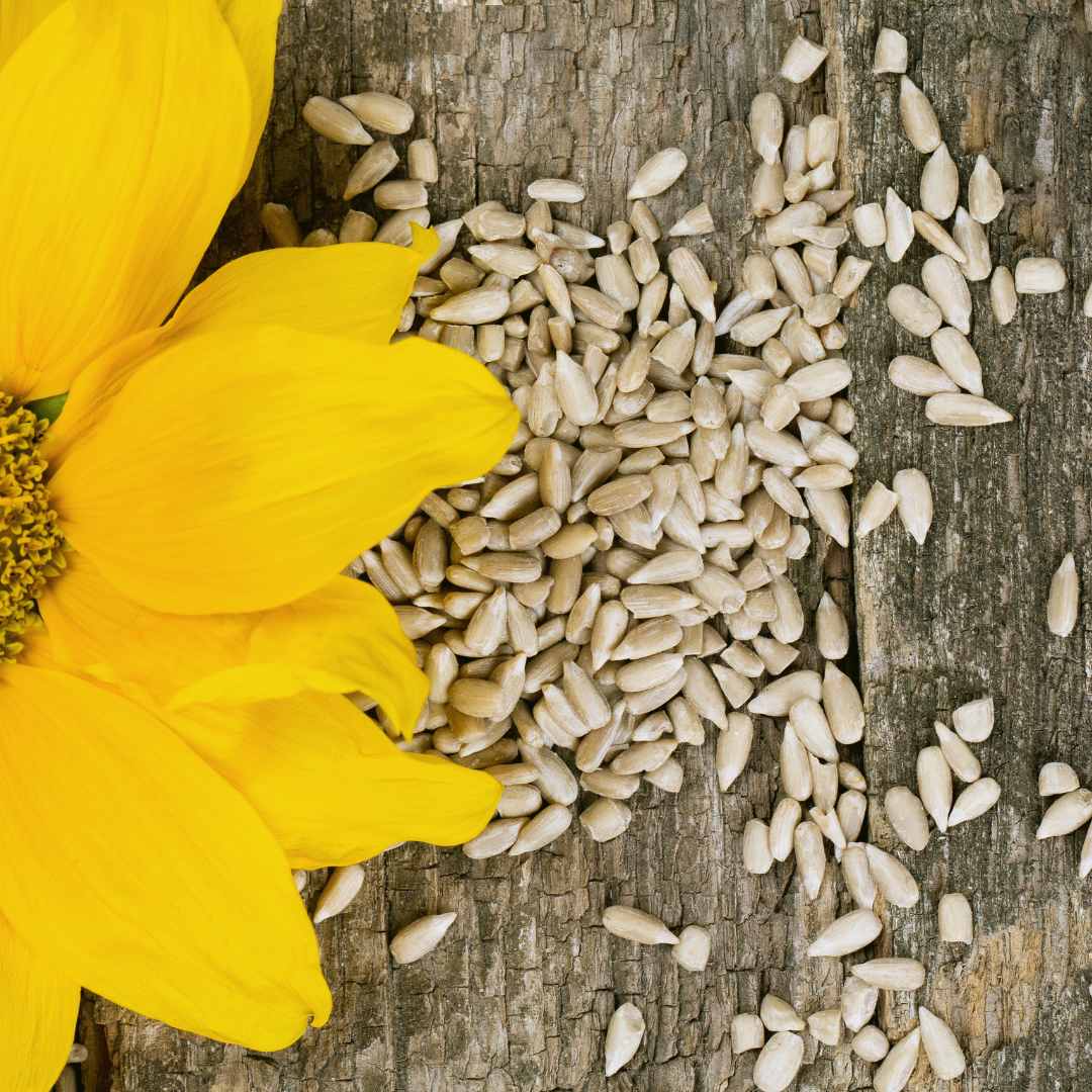 Sunflower Seeds