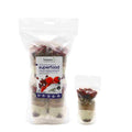 Treasure Life Protein & Performance